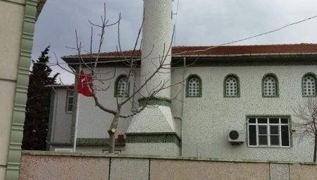 VEFAT VE BAŞSAĞLIĞI