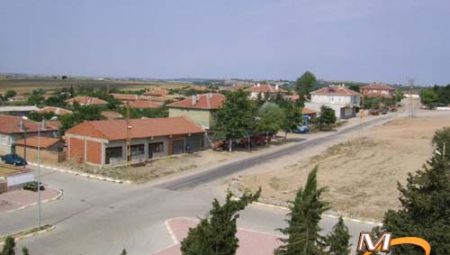 Saranlılı Olmak