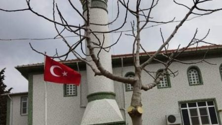 Vefat ve Başsağlığı
