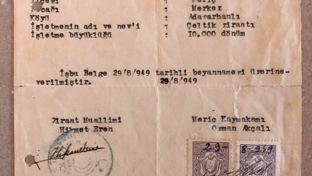 MUSTAFA ÇANAKÇI VE ADASARHANLI’DA ÇELTİK TARIMI