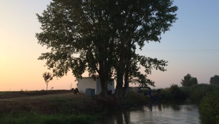 Ada’nın Dününe Dair Birkaç Söz